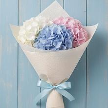 Букет цветов из:  Гортензия в Немчиновке