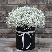 Цветочная композиция из Гипсофила в шляпной коробке #REPLACE_PRED# Немчиновке