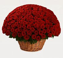 Премиум букет из: Розы в Немчиновке