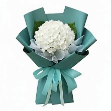 Букет цветов из:  Гортензия в Немчиновке